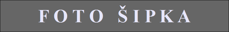 F O T O   � I P K A